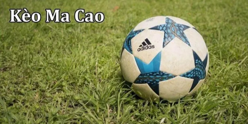 Hiểu biết về kèo ma cao - Các loại kèo và cách đọc kèo