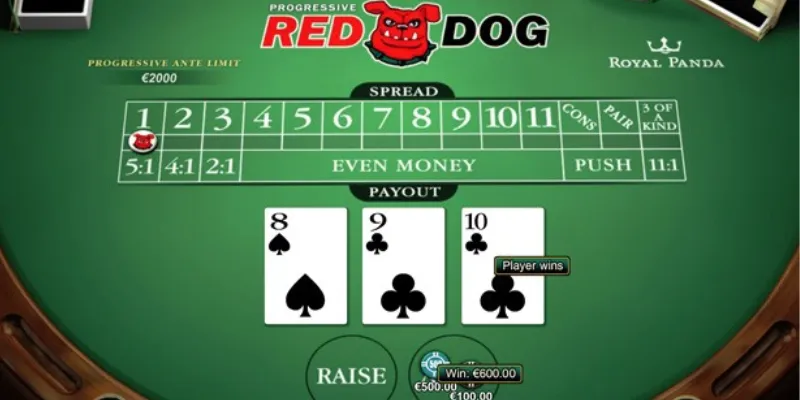 Hướng dẫn cách đặt cược trong Red Dog
